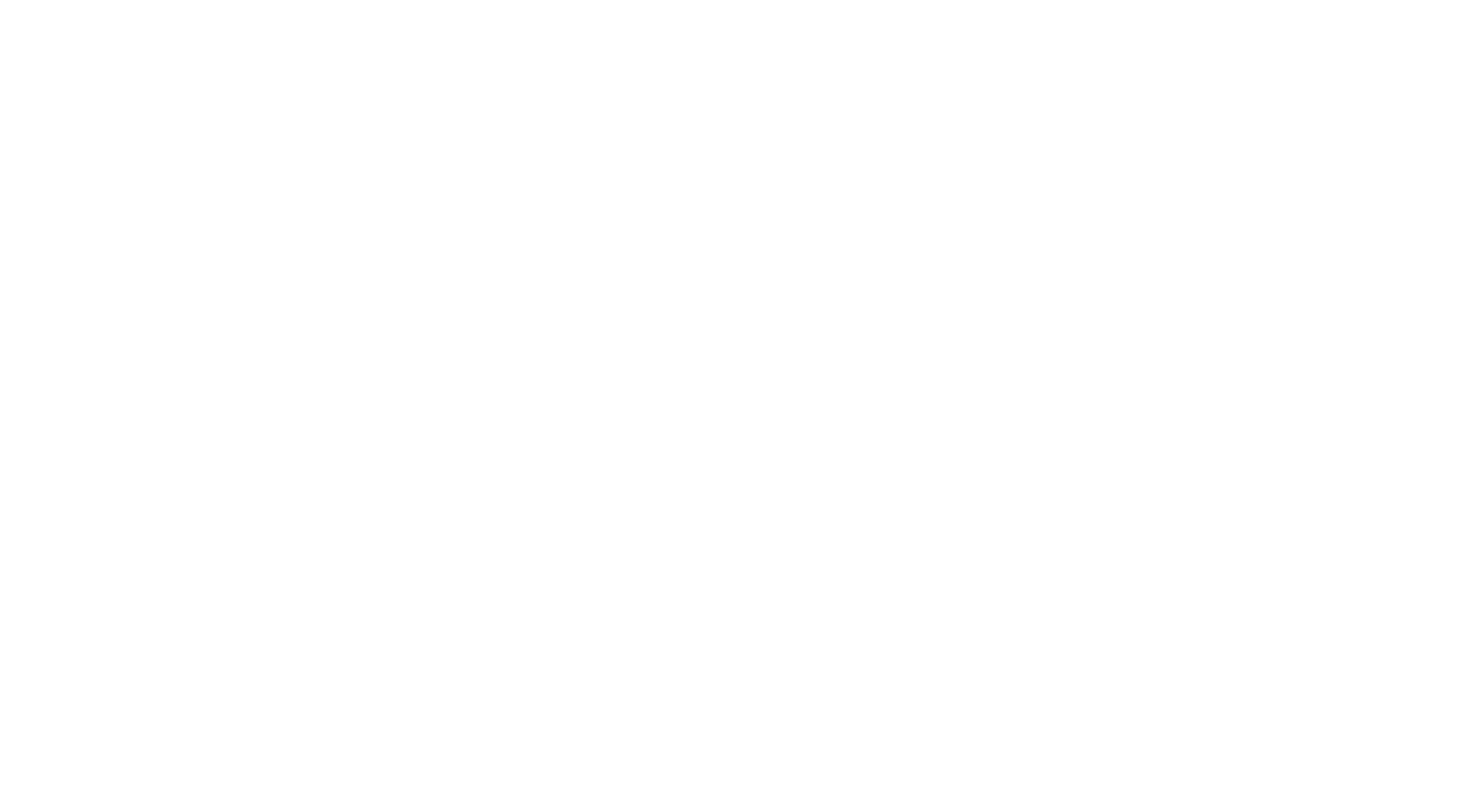 QA-primary-logo-white-trademarked